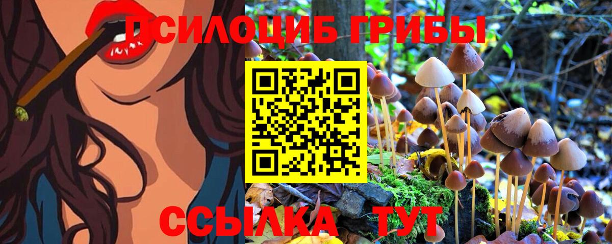 Псилоцибиновые грибы Magic Shrooms Бийск