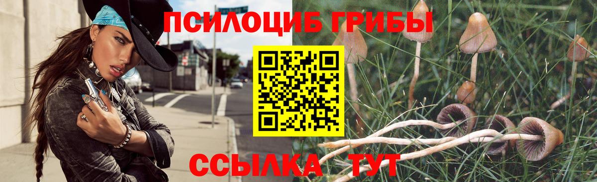 Бийск  Галлюциногенные грибы ЛСД  Вход с VPN 